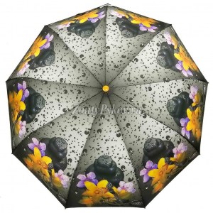Атласный зонтик с орхидеей, полуавтомат, Zicco, арт.2375